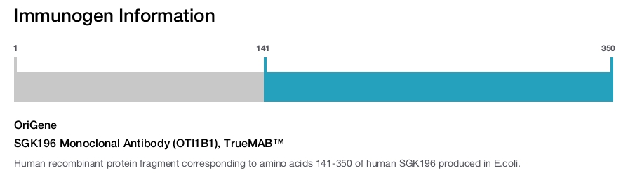 SGK196 Monoclonal Antibody (OTI1B1), TrueMAB&trade;