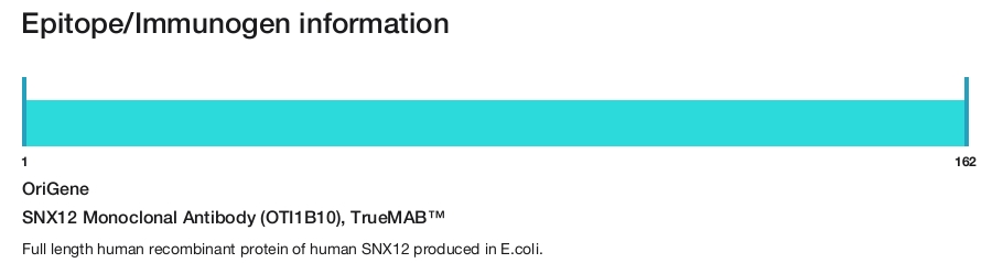 SNX12 Monoclonal Antibody (OTI1B10), TrueMAB&trade;