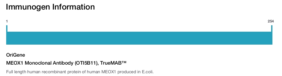 MEOX1 Monoclonal Antibody (OTI5B11), TrueMAB&trade;