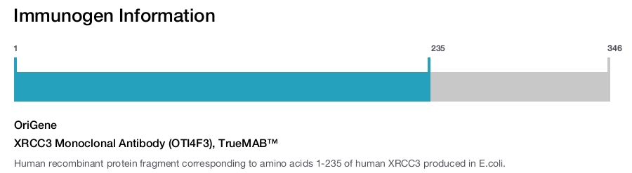 XRCC3 Monoclonal Antibody (OTI4F3), TrueMAB&trade;