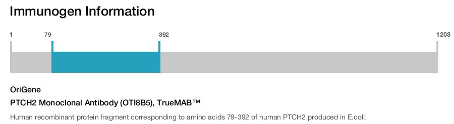 PTCH2 Monoclonal Antibody (OTI8B5), TrueMAB&trade;