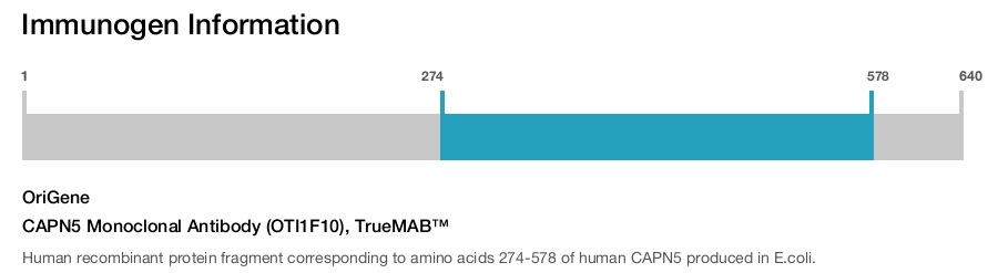 CAPN5 Monoclonal Antibody (OTI1F10), TrueMAB&trade;