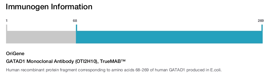 GATAD1 Monoclonal Antibody (OTI2H10), TrueMAB&trade;