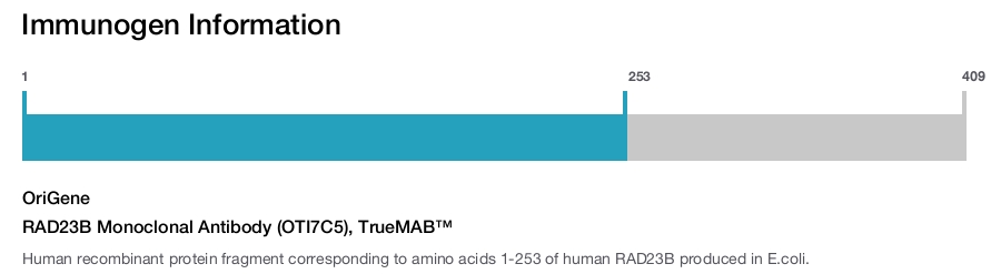 RAD23B Monoclonal Antibody (OTI7C5), TrueMAB&trade;