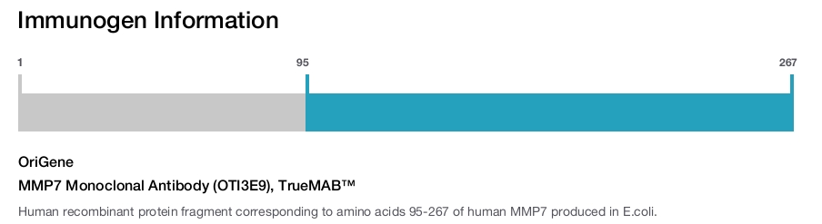 MMP7 Monoclonal Antibody (OTI3E9), TrueMAB&trade;