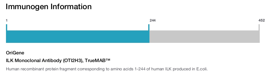 ILK Monoclonal Antibody (OTI2H3), TrueMAB&trade;