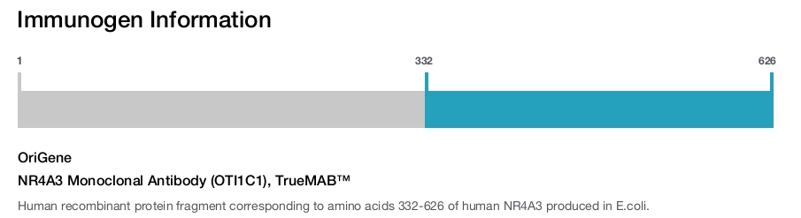 NR4A3 Monoclonal Antibody (OTI1C1), TrueMAB&trade;