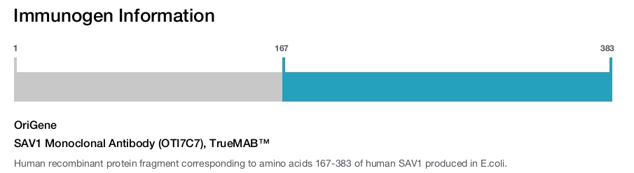SAV1 Monoclonal Antibody (OTI7C7), TrueMAB&trade;