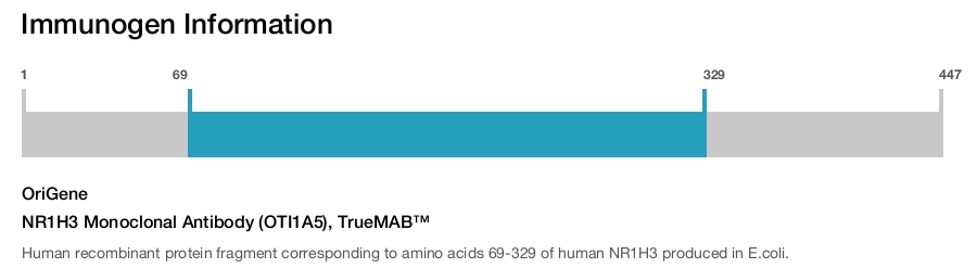 NR1H3 Monoclonal Antibody (OTI1A5), TrueMAB&trade;
