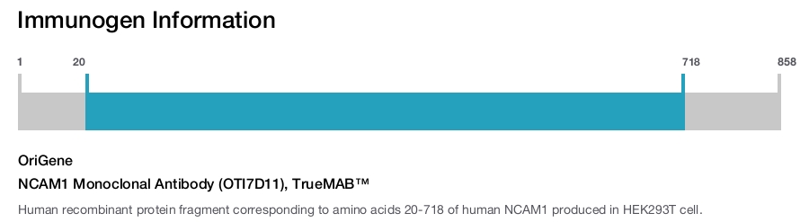 NCAM1 Monoclonal Antibody (OTI7D11), TrueMAB™