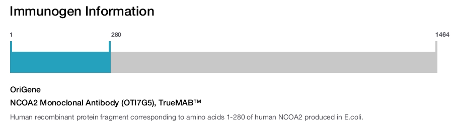 NCOA2 Monoclonal Antibody (OTI7G5), TrueMAB&trade;