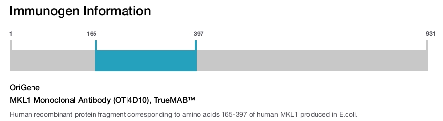 MKL1 Monoclonal Antibody (OTI4D10), TrueMAB™