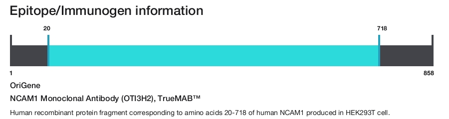 NCAM1 Monoclonal Antibody (OTI3H2), TrueMAB&trade;