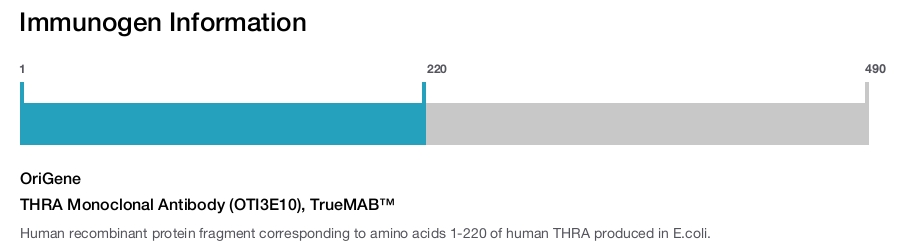 THRA Monoclonal Antibody (OTI3E10), TrueMAB&trade;