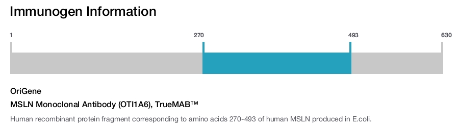 MSLN Monoclonal Antibody (OTI1A6), TrueMAB™