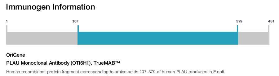 PLAU Monoclonal Antibody (OTI6H1), TrueMAB&trade;