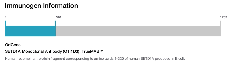 SETD1A Monoclonal Antibody (OTI1D3), TrueMAB™