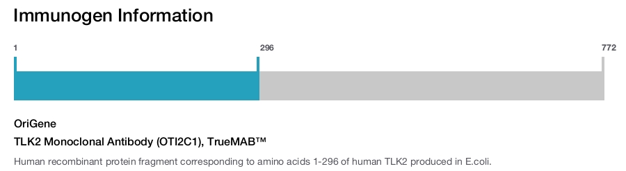 TLK2 Monoclonal Antibody (OTI2C1), TrueMAB&trade;