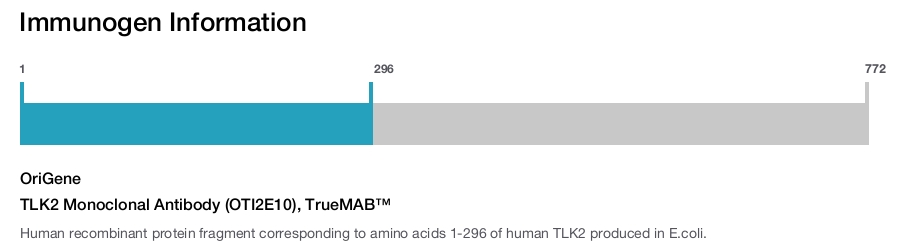 TLK2 Monoclonal Antibody (OTI2E10), TrueMAB&trade;