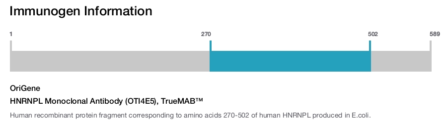 HNRNPL Monoclonal Antibody (OTI4E5), TrueMAB&trade;