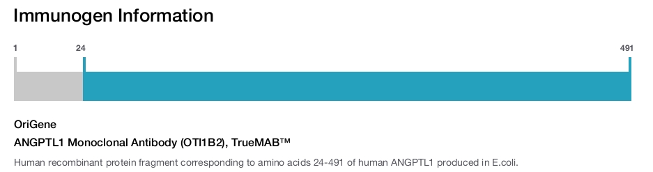 ANGPTL1 Monoclonal Antibody (OTI1B2), TrueMAB&trade;