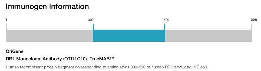 RB1 Monoclonal Antibody (OTI11C10), TrueMAB&trade;