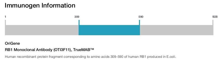 RB1 Monoclonal Antibody (OTI3F11), TrueMAB&trade;