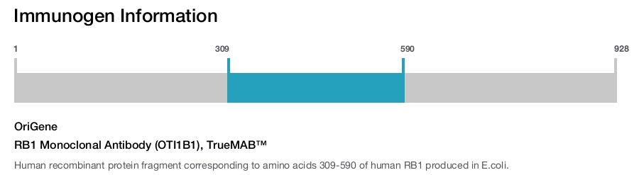 RB1 Monoclonal Antibody (OTI1B1), TrueMAB&trade;