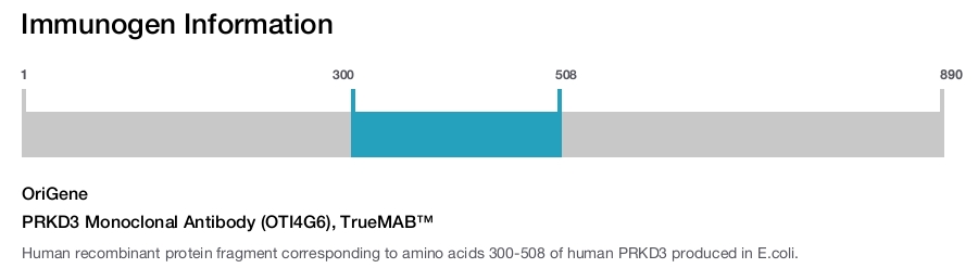 PRKD3 Monoclonal Antibody (OTI4G6), TrueMAB&trade;