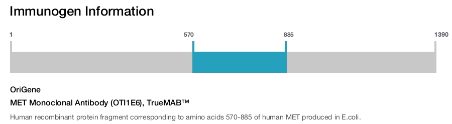 MET Monoclonal Antibody (OTI1E6), TrueMAB&trade;