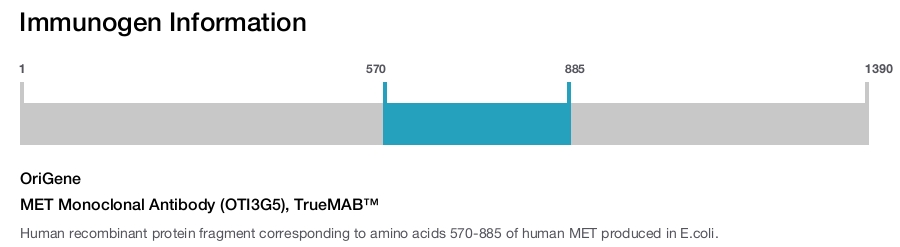 MET Monoclonal Antibody (OTI3G5), TrueMAB&trade;