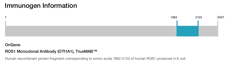 ROS1 Monoclonal Antibody (OTI1A1), TrueMAB&trade;