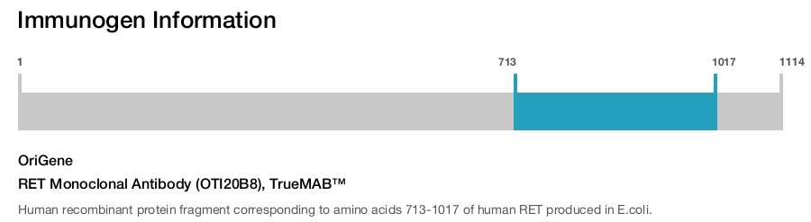 RET Monoclonal Antibody (OTI20B8), TrueMAB&trade;