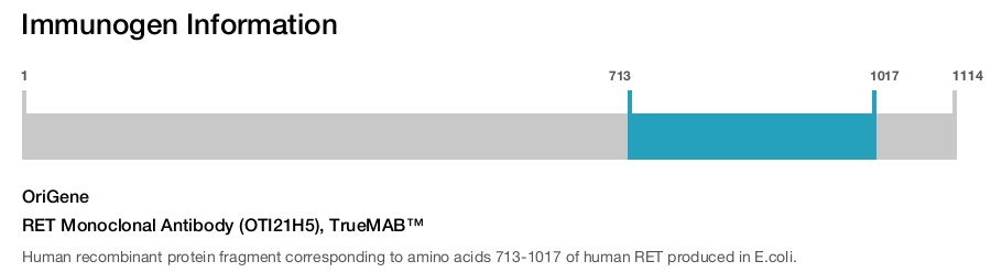 RET Monoclonal Antibody (OTI21H5), TrueMAB™