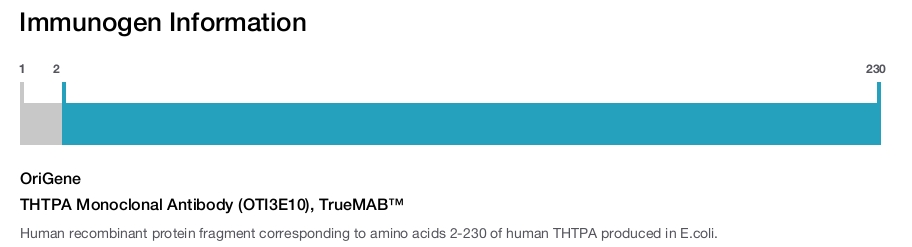 THTPA Monoclonal Antibody (OTI3E10), TrueMAB&trade;