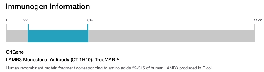 LAMB3 Monoclonal Antibody (OTI1H10), TrueMAB&trade;