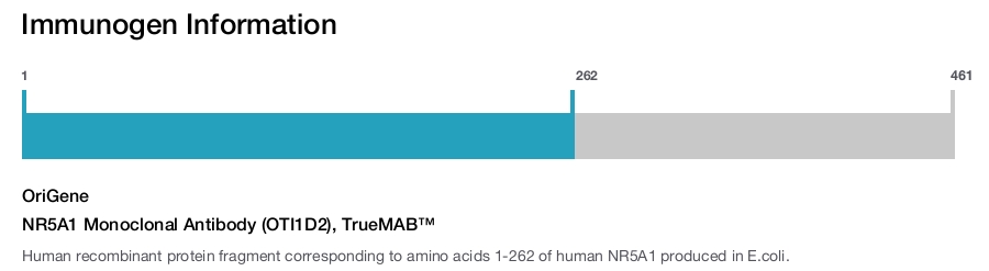 NR5A1 Monoclonal Antibody (OTI1D2), TrueMAB&trade;
