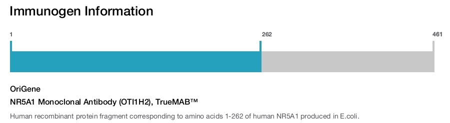 NR5A1 Monoclonal Antibody (OTI1H2), TrueMAB&trade;