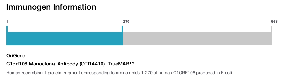 C1orf106 Monoclonal Antibody (OTI14A10), TrueMAB&trade;