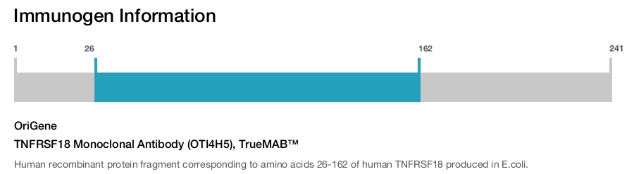 TNFRSF18 Monoclonal Antibody (OTI4H5), TrueMAB&trade;