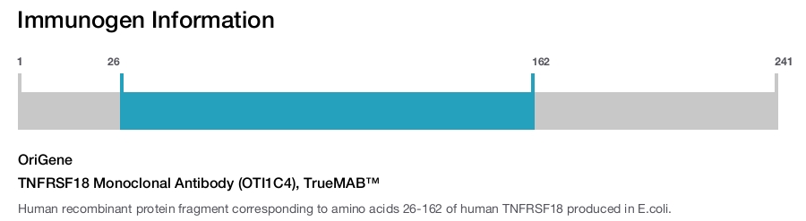 TNFRSF18 Monoclonal Antibody (OTI1C4), TrueMAB&trade;