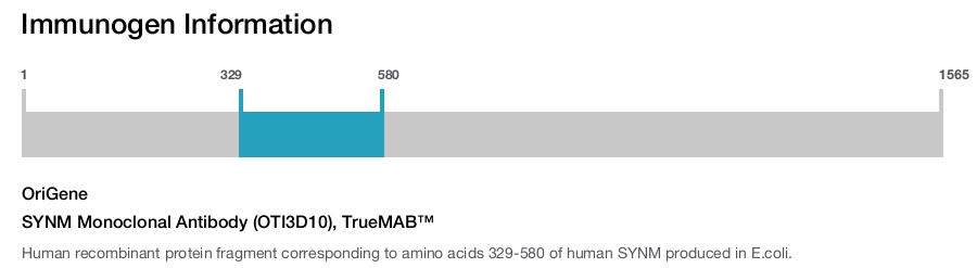 SYNM Monoclonal Antibody (OTI3D10), TrueMAB&trade;