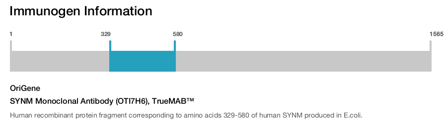 SYNM Monoclonal Antibody (OTI7H6), TrueMAB&trade;