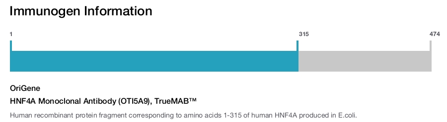 HNF4A Monoclonal Antibody (OTI5A9), TrueMAB&trade;