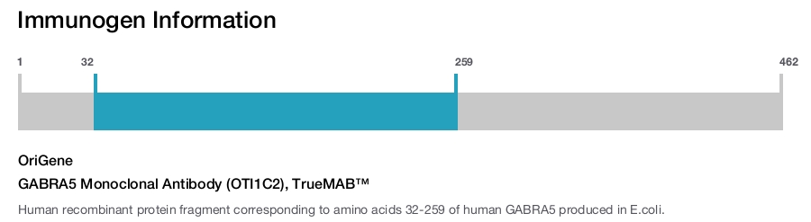 GABRA5 Monoclonal Antibody (OTI1C2), TrueMAB&trade;