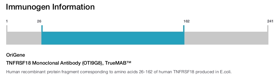 TNFRSF18 Monoclonal Antibody (OTI9G8), TrueMAB&trade;