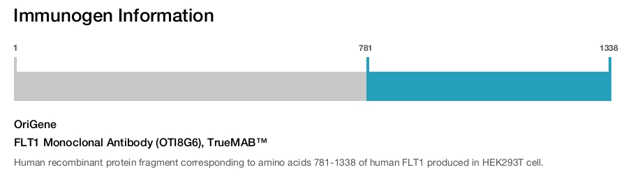FLT1 Monoclonal Antibody (OTI8G6), TrueMAB&trade;