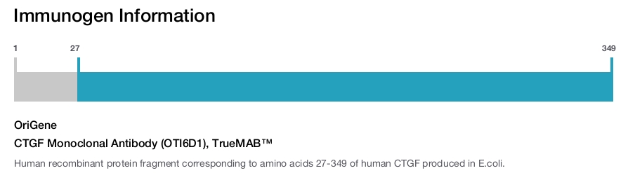 CTGF Monoclonal Antibody (OTI6D1), TrueMAB&trade;