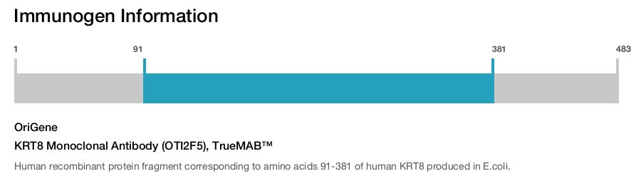 KRT8 Monoclonal Antibody (OTI2F5), TrueMAB&trade;