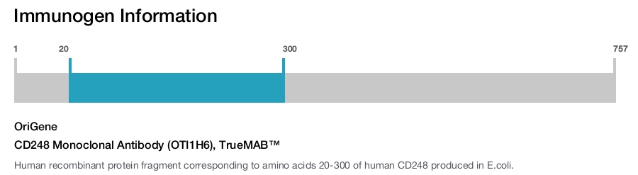 CD248 Monoclonal Antibody (OTI1H6), TrueMAB&trade;